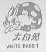 驰名商标-大白兔-奶糖-1993行政认定-30-273338
